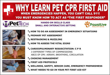 Learn Pet CPR and First Aid